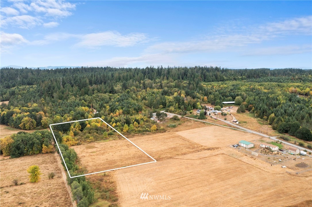 345 Nicholson Road Ethel, WA 98542 - Photo 1 of 10 a view of a swimming pool with a lake view