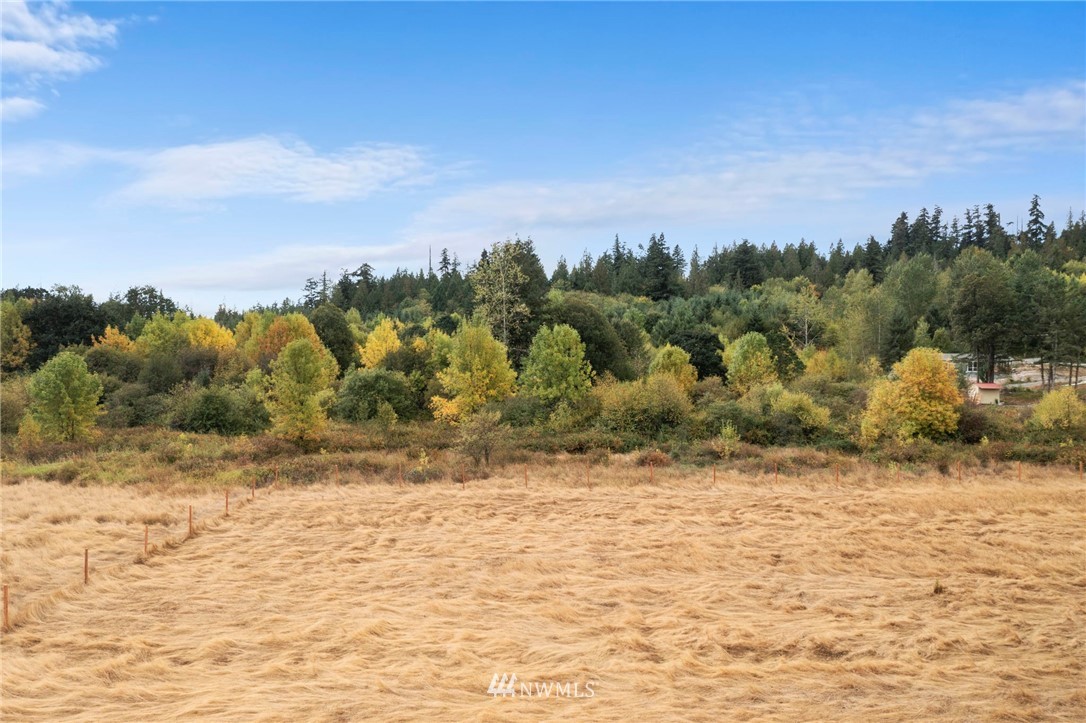345 Nicholson Road Ethel, WA 98542 - Photo 3 of 10 a view of a yard with an trees
