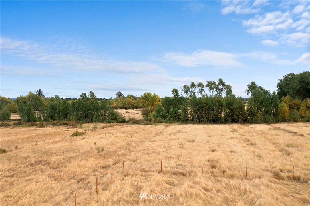 345 Nicholson Road Ethel, WA 98542 - Photo 4 of 10 a view of an outdoor space and a yard