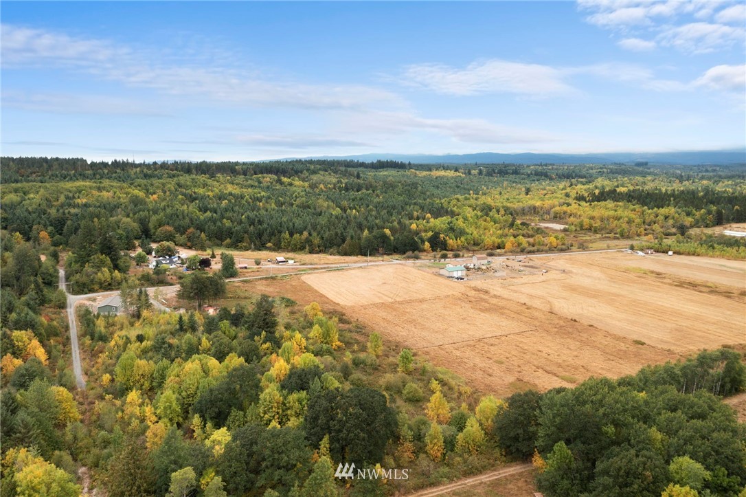 345 Nicholson Road Ethel, WA 98542 - Photo 6 of 10 a view of an outdoor space and mountain view