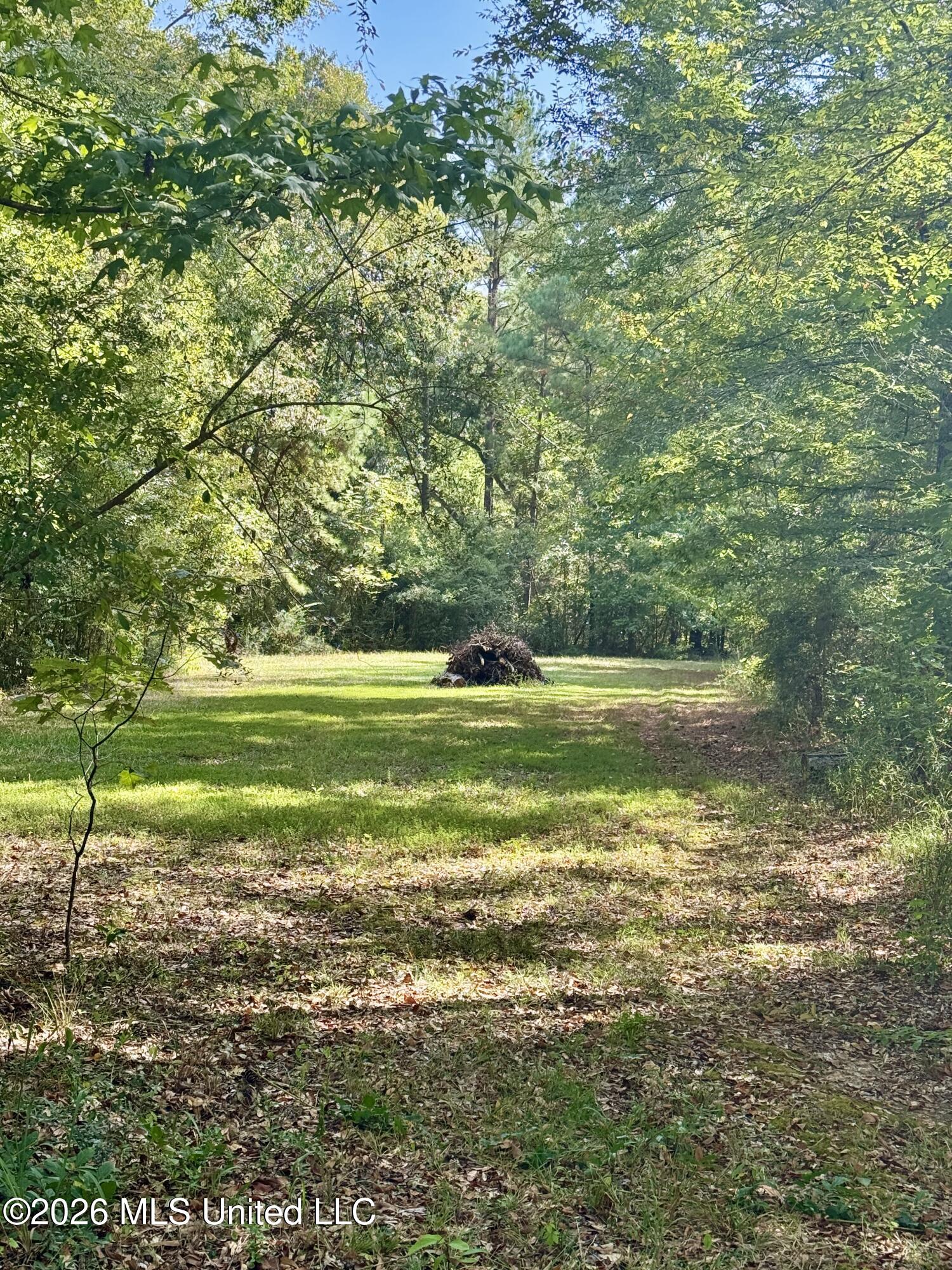 1840 White Apple Road Roxie, MS 39661 - Photo 25 of 35 IMG_5603