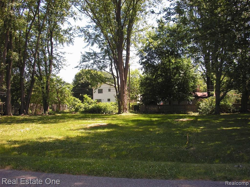 0 Longview Avenue Rochester, MI 48307 - Photo 3 of 3
