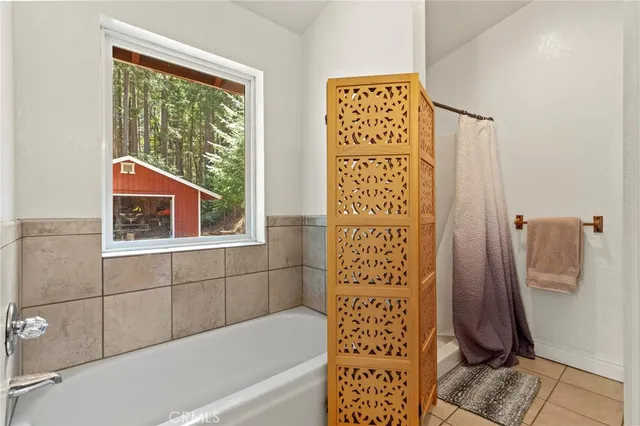a bathroom with a tub a potted plant and a shower