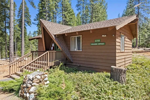 a view of a forest with a forest