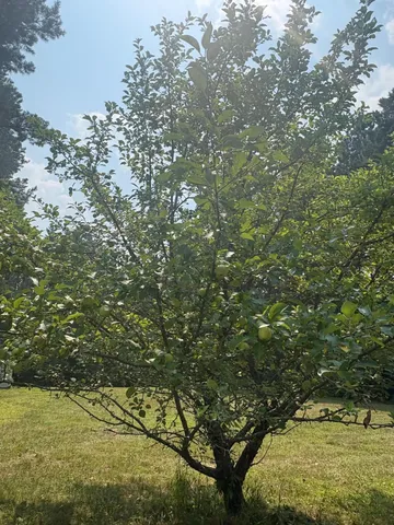 $35,000 | 2131 North Brook View Drive, Mora, MN 55051