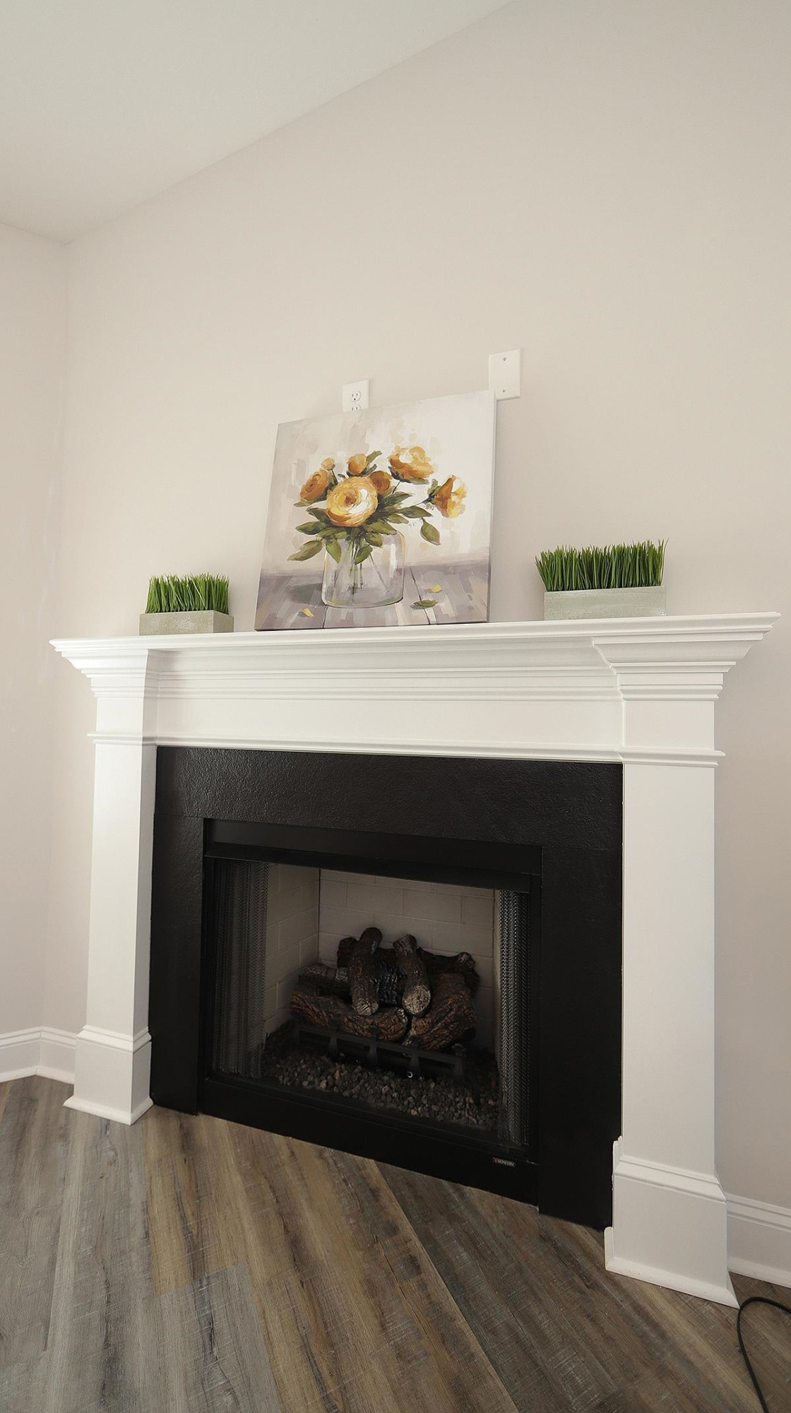 4007 Needham Road Bailey, NC 27807 - Photo 11 of 22 The seller never used the fireplace. The buyer will have to get his own tank. This is a beautiful feature that adds charm to the home. Gas Fireplace