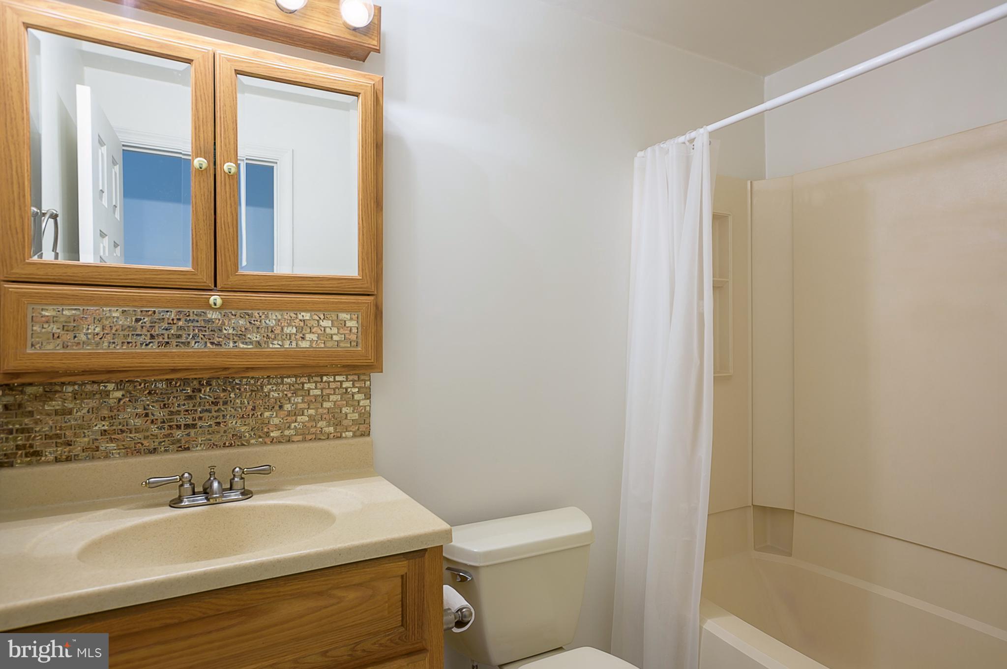 13383 Triadelphia Road Ellicott City, MD 21042 - Photo 15 of 30 Bathroom 2