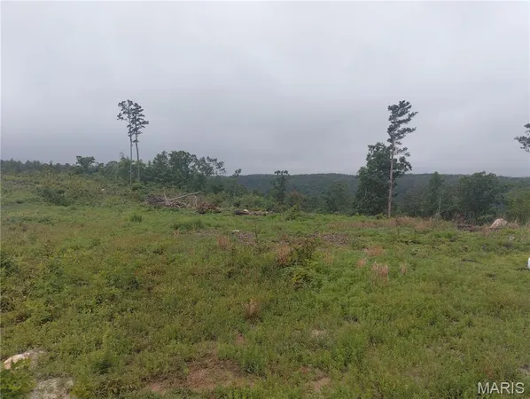$65,000 | 11 Tract 11 Off Highway, Belleview, MO 63623