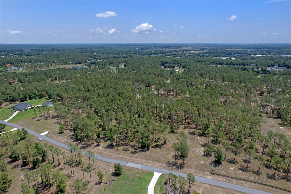 35408 Pinegate Trail Eustis, FL 32736 - Photo 13 of 16 a view of a city with lush green forest