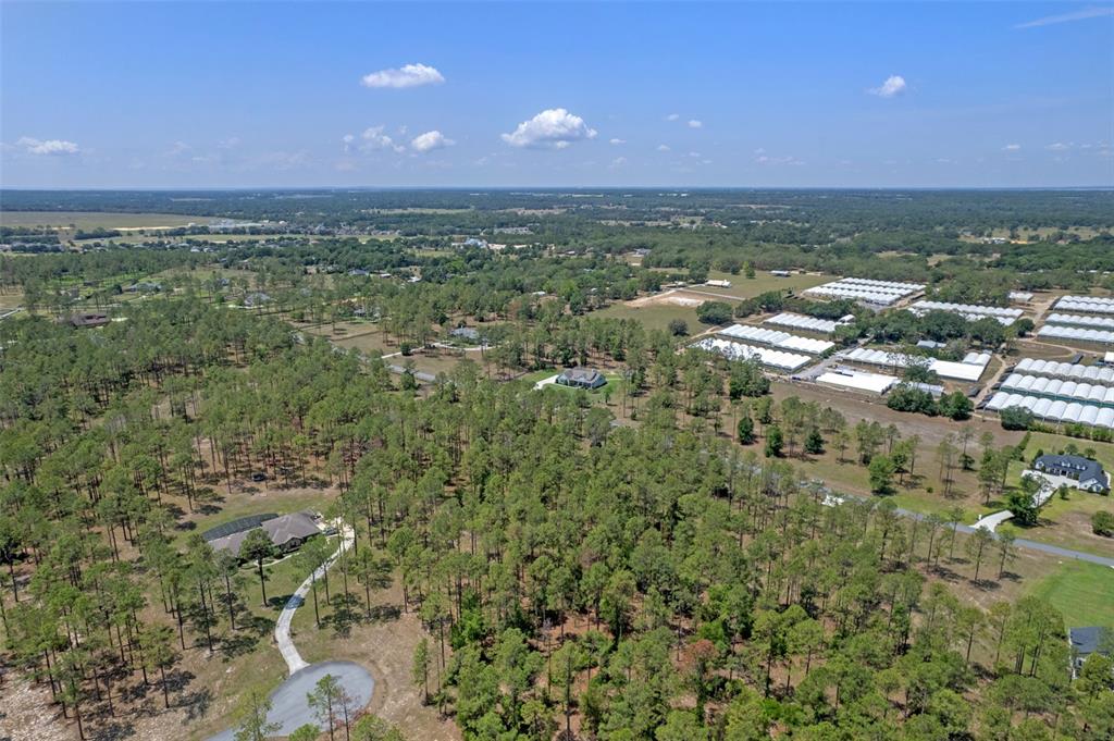 35408 Pinegate Trail Eustis, FL 32736 - Photo 14 of 16 an aerial view of residential houses with outdoor space and trees