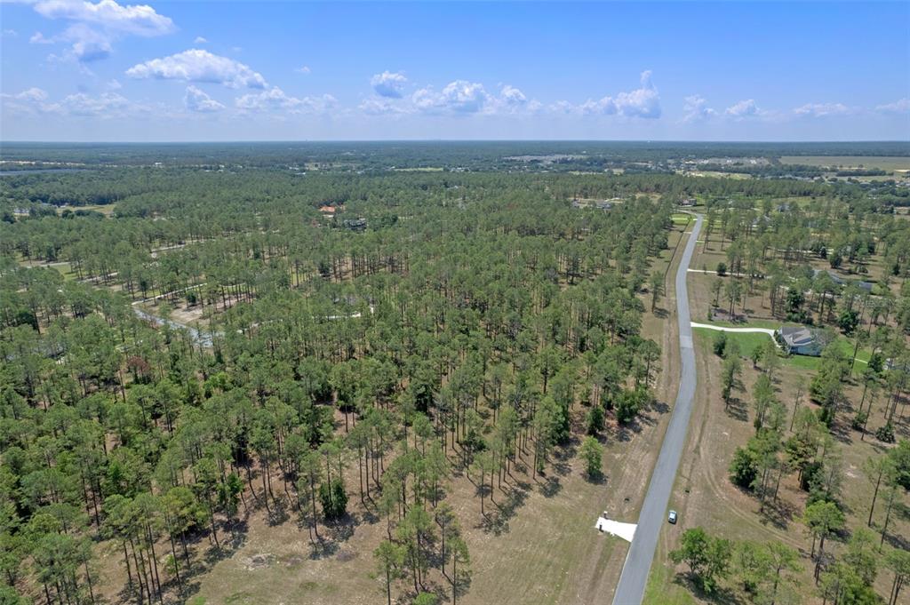35408 Pinegate Trail Eustis, FL 32736 - Photo 15 of 16 a view of a city with lush green forest