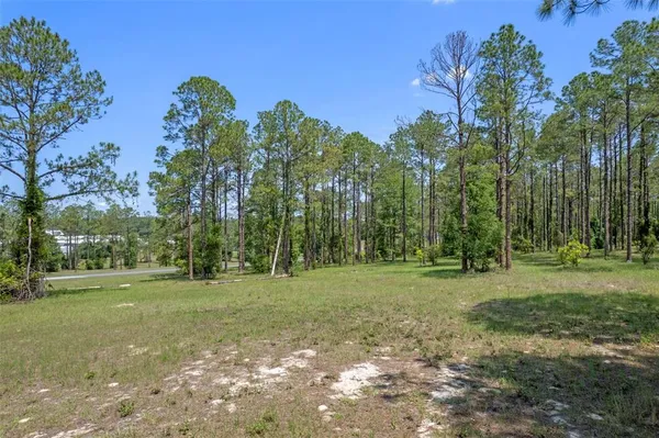 $485,000 | 35408 Pinegate Trail, Eustis, FL 32736