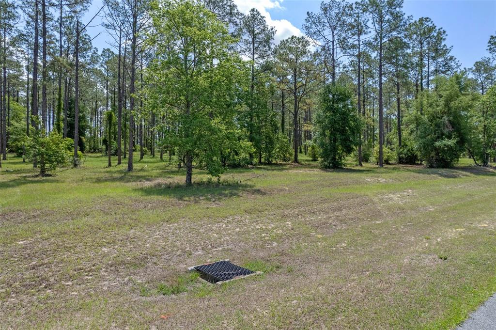 35408 Pinegate Trail Eustis, FL 32736 - Photo 3 of 16 a view of outdoor space with trees all around