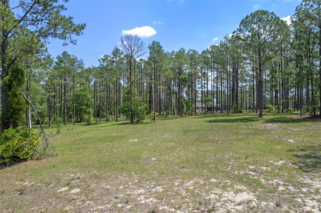 35408 Pinegate Trail Eustis, FL 32736 - Photo 5 of 16 a view of a golf course