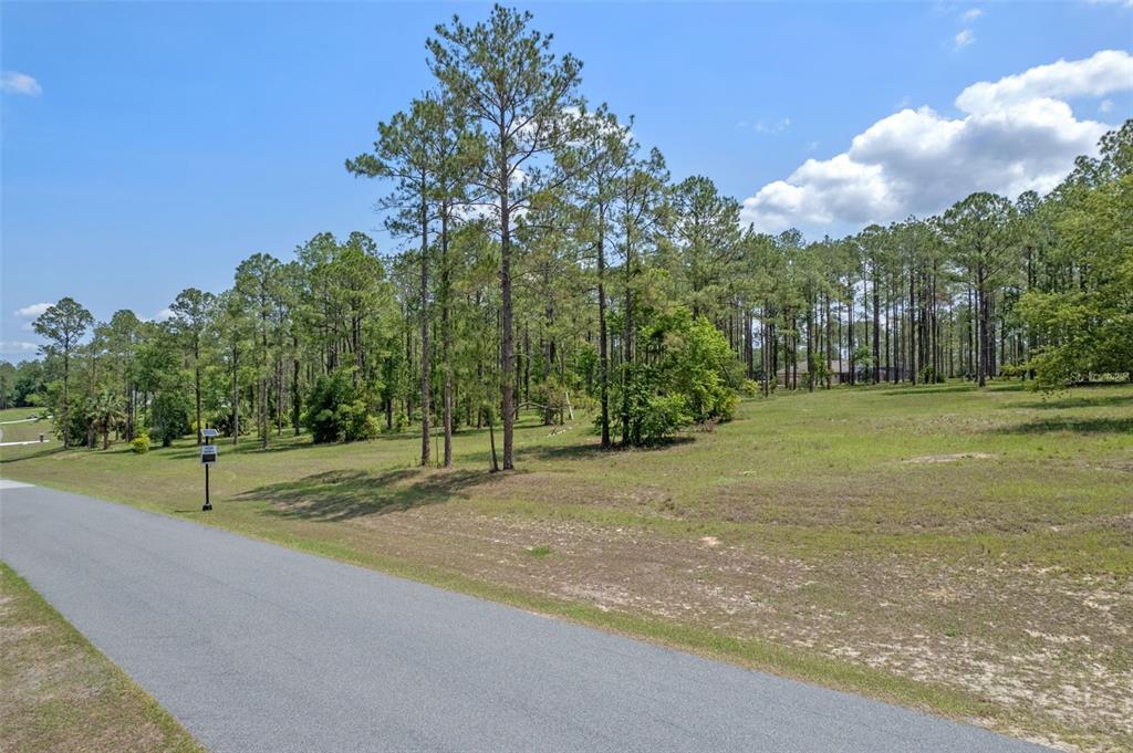 35408 Pinegate Trail Eustis, FL 32736 - Photo 6 of 16 a view of a basketball court