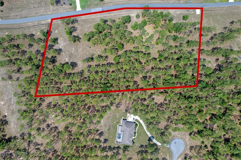 35408 Pinegate Trail Eustis, FL 32736 - Photo 9 of 16 a small yard with plants