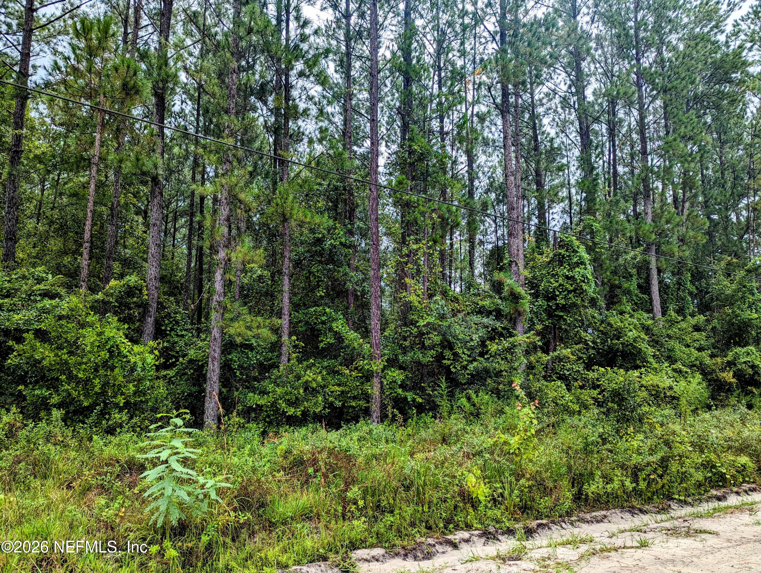 4436 Lori Loop Road Keystone Heights, FL 32656 - Photo 2 of 4 pic 4436 Lori Loop 2