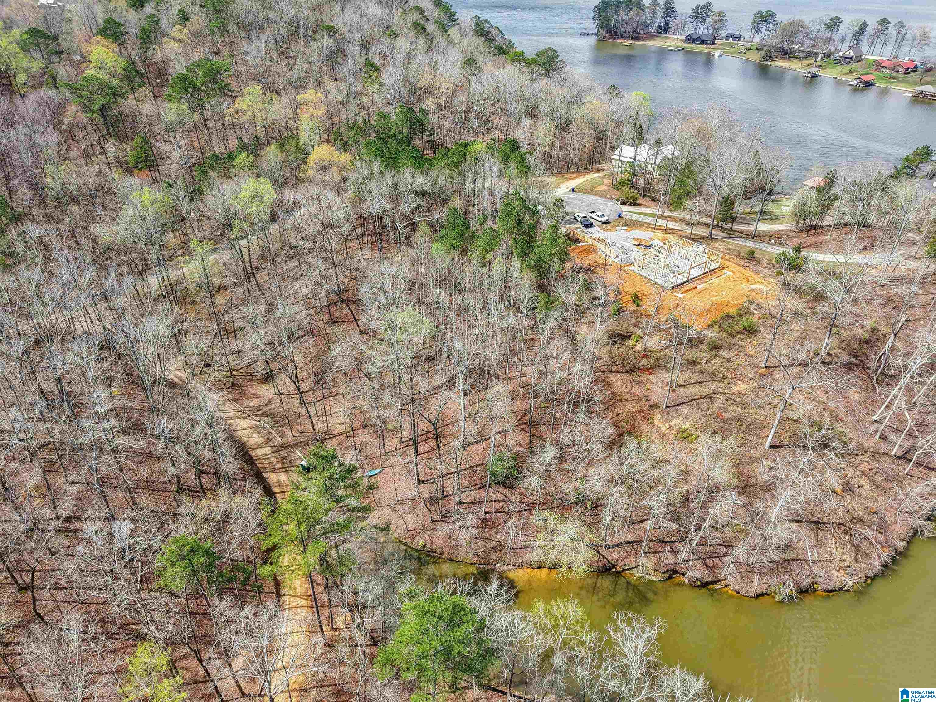 130 Mohawk Court, Unit LOT 1 Ohatchee, AL 36271 - Photo 4 of 17