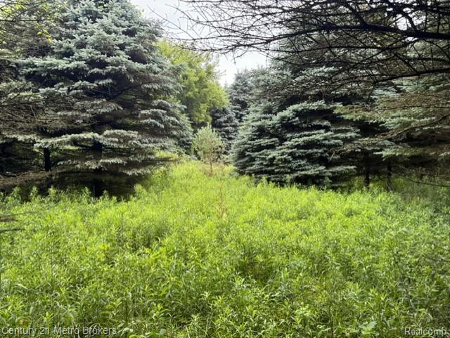 0 Davis Lake Road Lapeer, MI 48446 - Photo 9 of 12 7.jpg