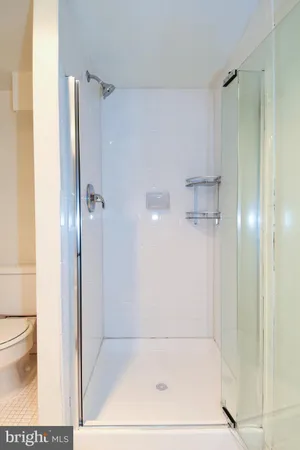 a bathroom with a shower and a toilet