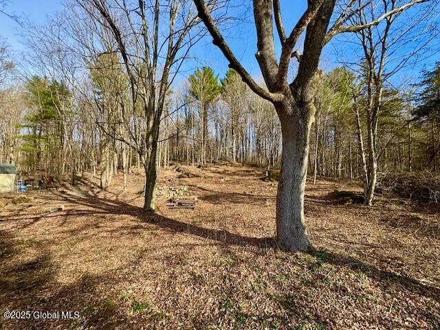 53 Morgans Lane Comstock, NY 12821 - Photo 6 of 32 Randy 2