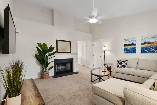 a living room with furniture a fireplace and a potted plant