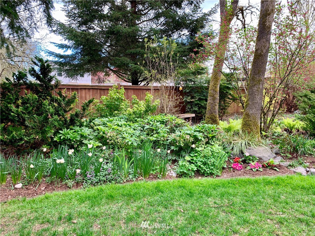 2416 Mayes Road Southeast Olympia, WA 98503 - Photo 25 of 40 Gallery Image 25