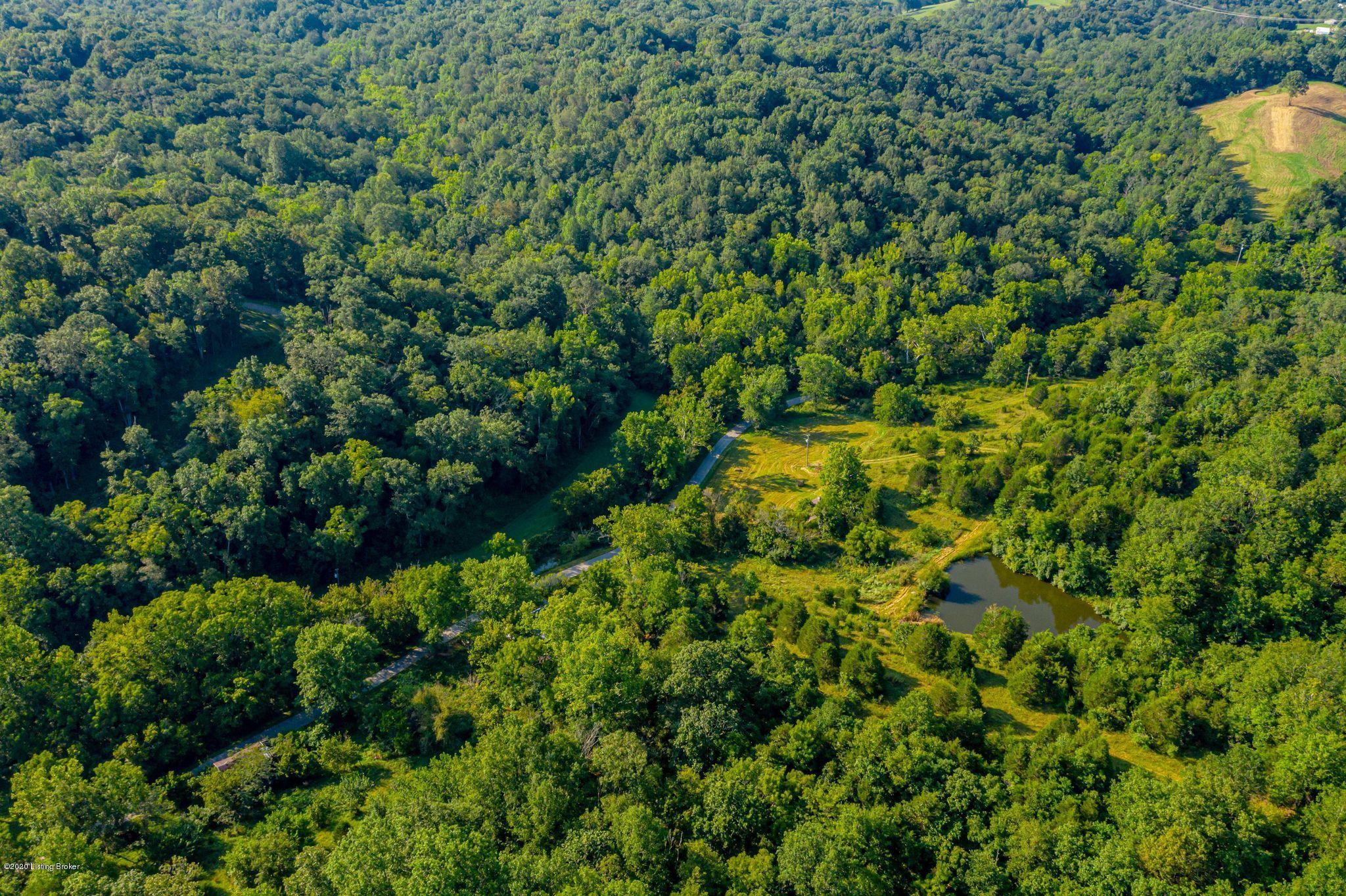 901 Goose Creek Road Bagdad, KY 40003 - Photo 8 of 28 Aerial Pond