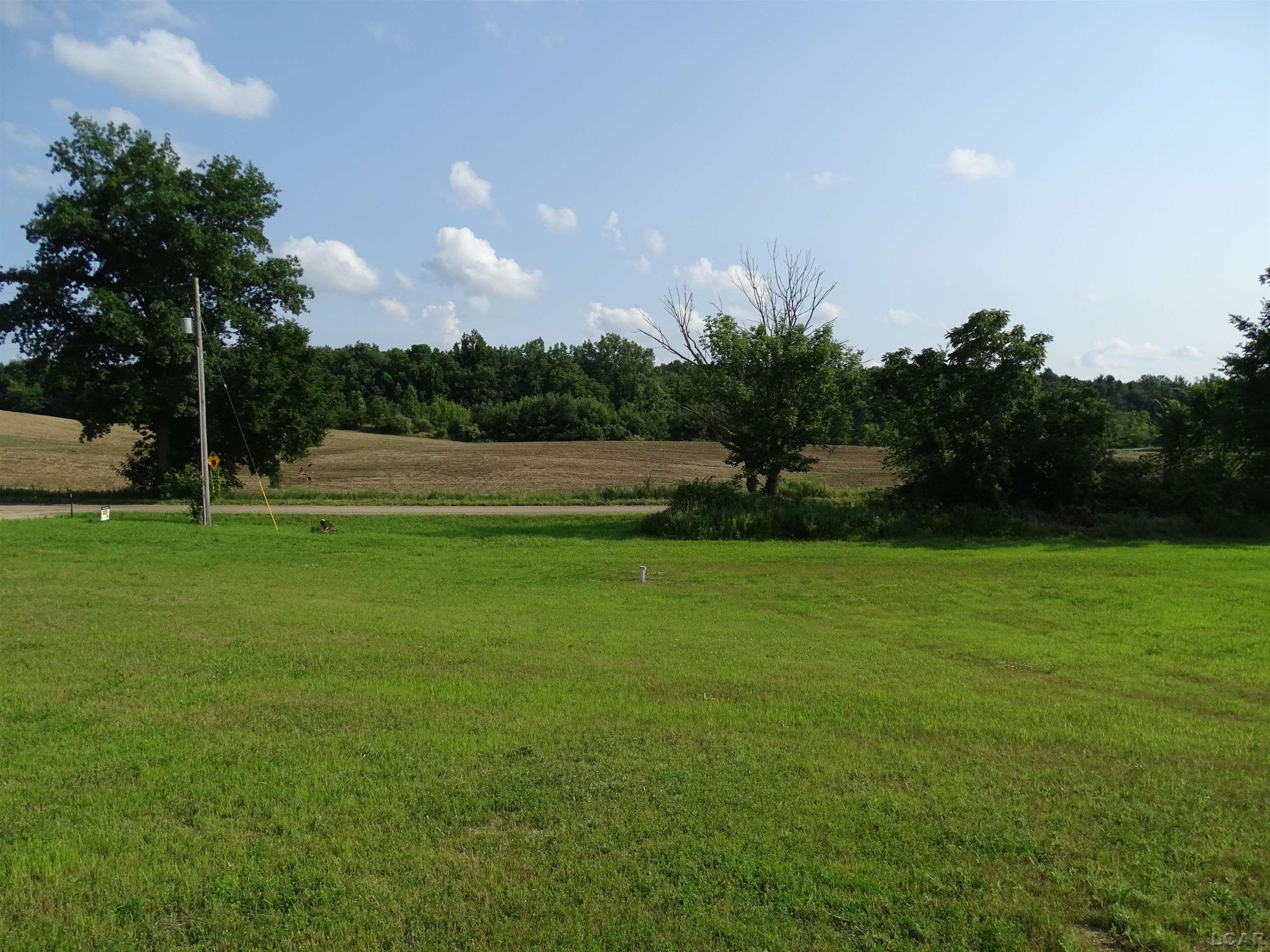 4820 Spotts Road Osseo, MI 49266 - Photo 28 of 30