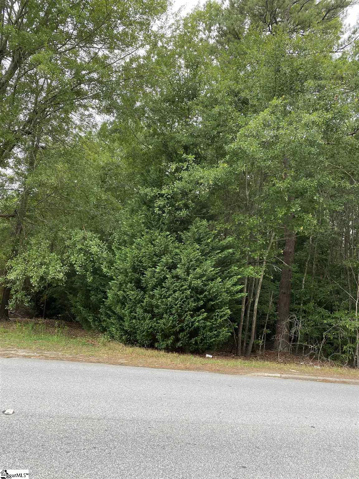 Cross Anchor Road Woodruff, SC 29388 - Photo 1 of 4 Gallery Image 1