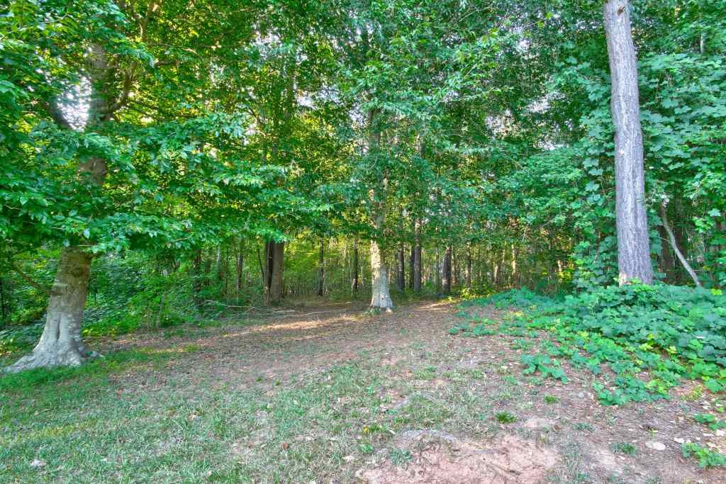 164 Hood Farm Road Clayton, NC 27520 - Photo 25 of 25 Photo 25