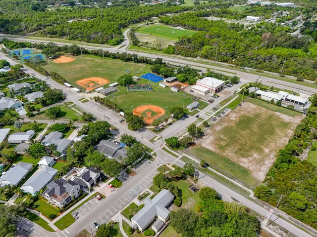 a view of a garden with plants
