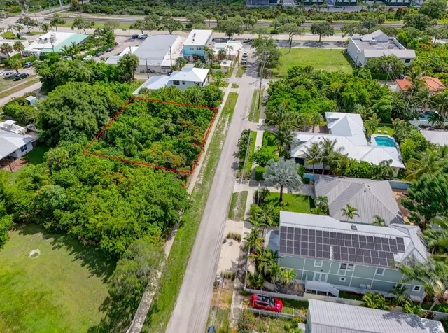 a view of a yard with plants and a large tree
