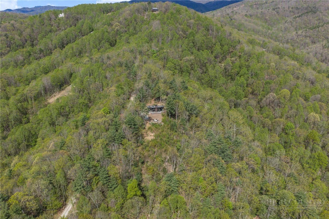 919 Lost Ridge Road Lenoir, NC 28645 - Photo 40 of 40