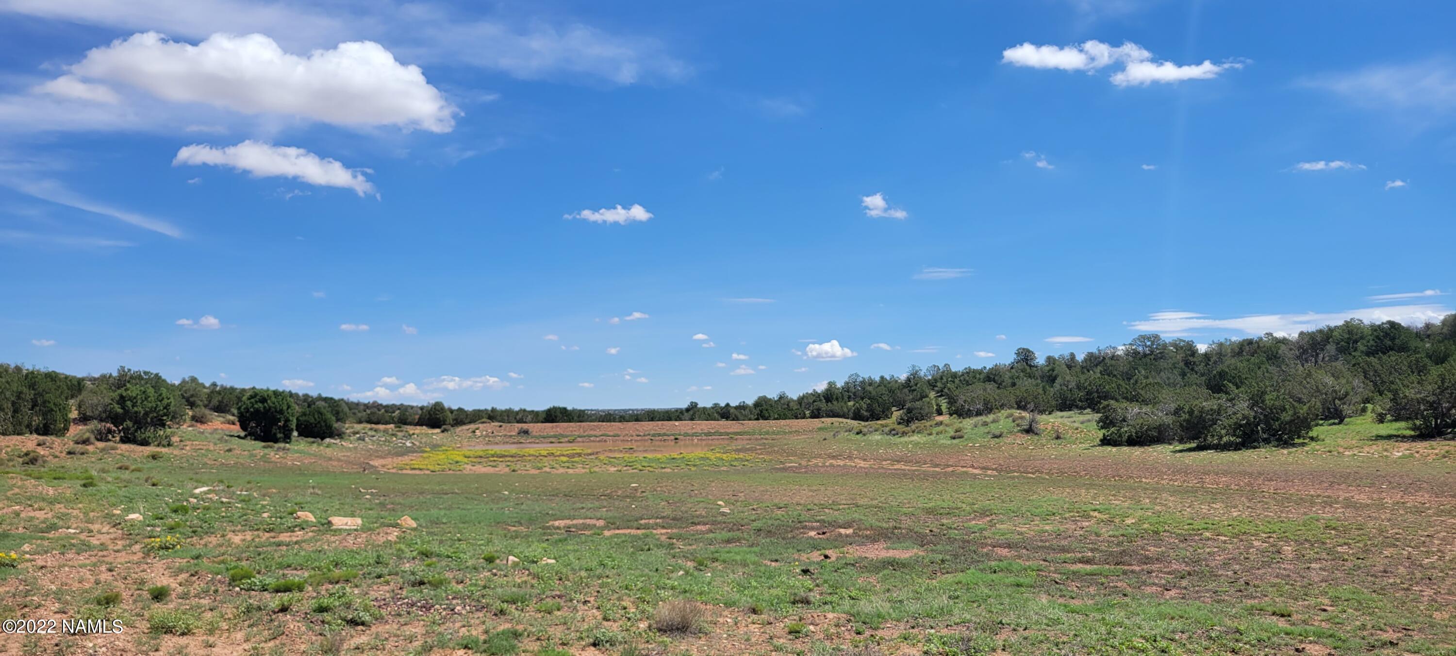 8298 West Red Bluff Road Williams, AZ 86046 - Photo 9 of 23 20220806_112133