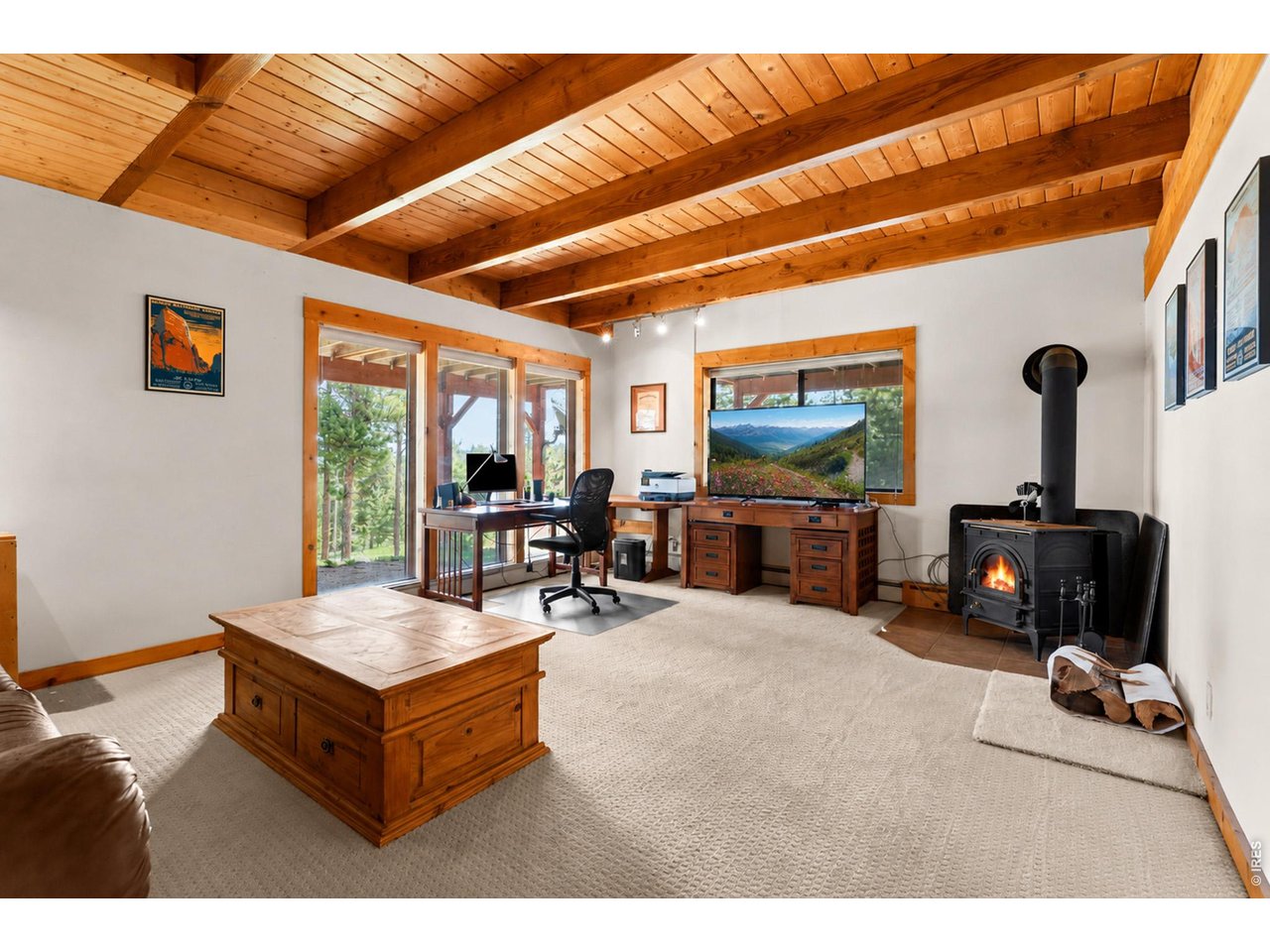1109 Indian Peak Road Golden, CO 80403 - Photo 24 of 50 Lower level family room / bonus space