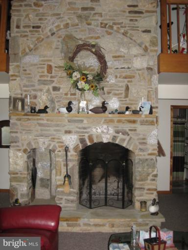 802 Lagrange Road Street, MD 21154 - Photo 22 of 29 Great Room Fireplace