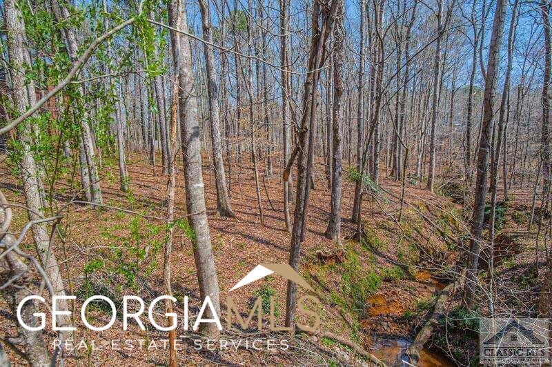 312 Chesterfield Road Bogart, GA 30622 - Photo 1 of 1 a close up of a shower curtain