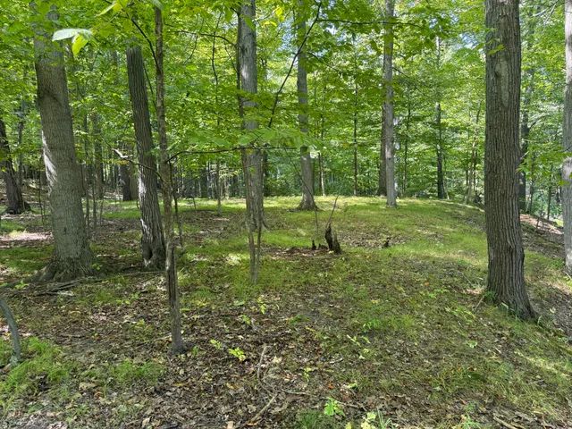 $690,000 | 5414 Bordman Road, Leonard, MI 48367