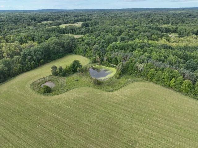 $690,000 | 5414 Bordman Road, Leonard, MI 48367