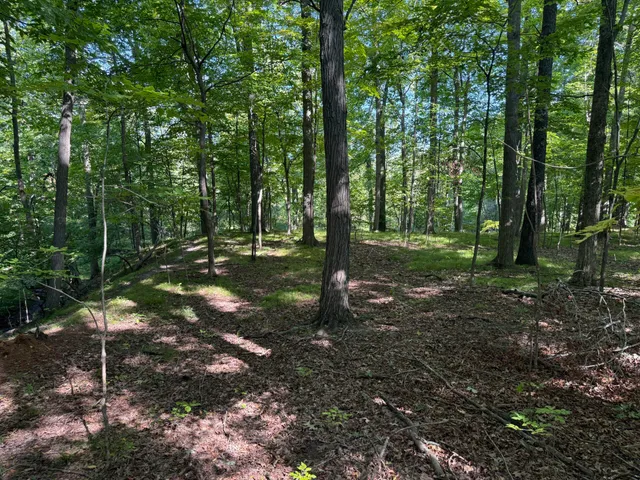 $690,000 | 5414 Bordman Road, Leonard, MI 48367