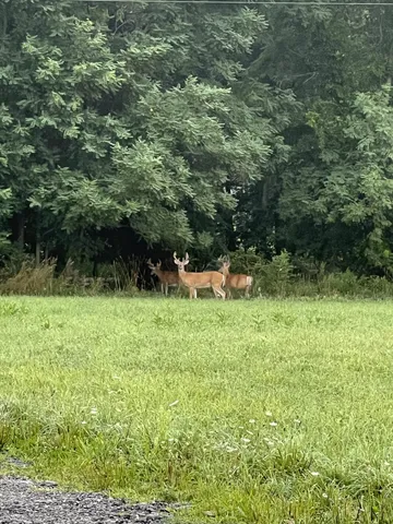 $690,000 | 5414 Bordman Road, Leonard, MI 48367