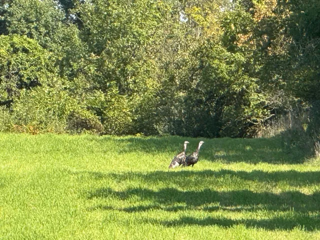 $690,000 | 5414 Bordman Road, Leonard, MI 48367