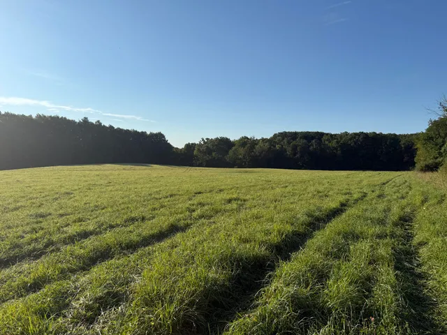 $690,000 | 5414 Bordman Road, Leonard, MI 48367