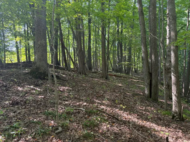 $690,000 | 5414 Bordman Road, Leonard, MI 48367