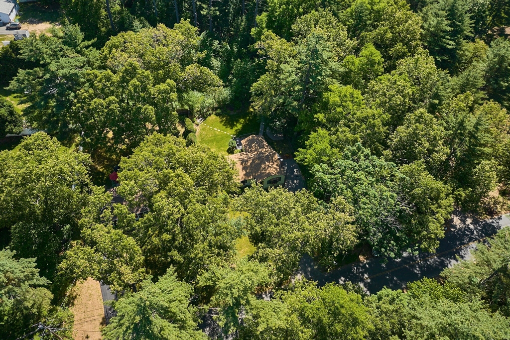 20 Cook Road Easthampton, MA 01027 - Photo 29 of 37