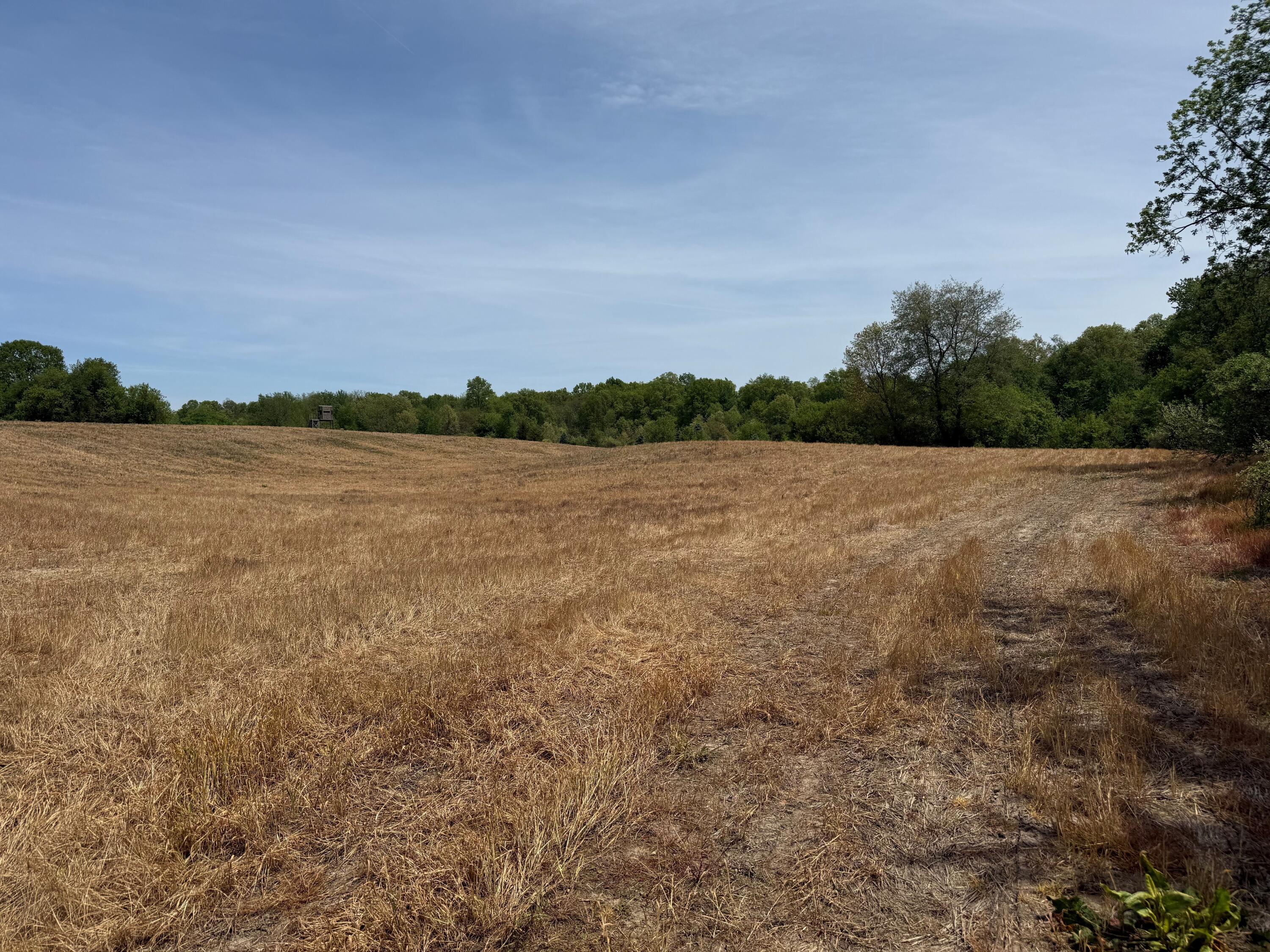 Vl Kingsbury Road Delton, MI 49046 - Photo 2 of 4 2