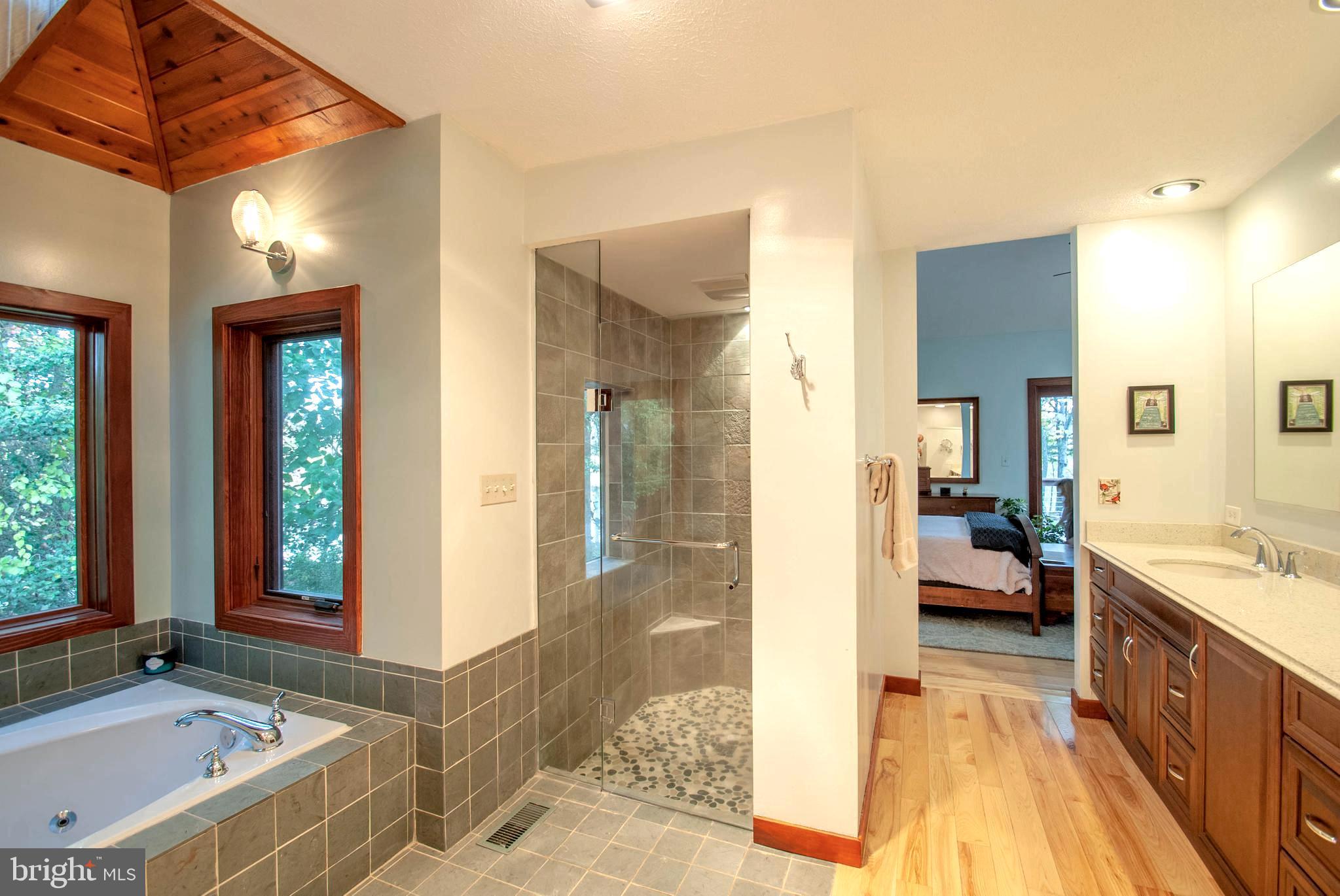 1749 Colbert Road Annapolis, MD 21409 - Photo 12 of 48 Opulent Master Bath Combining Organic Textures