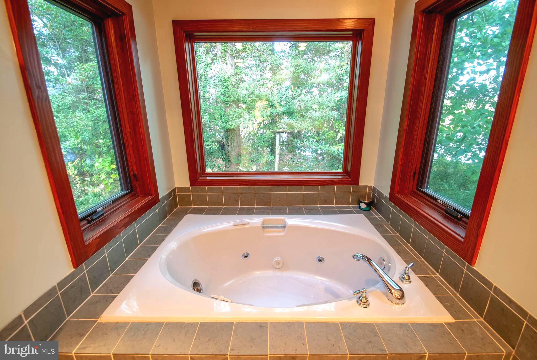 1749 Colbert Road Annapolis, MD 21409 - Photo 39 of 48 Sunken Soaking Tub Nestled in the Treetops