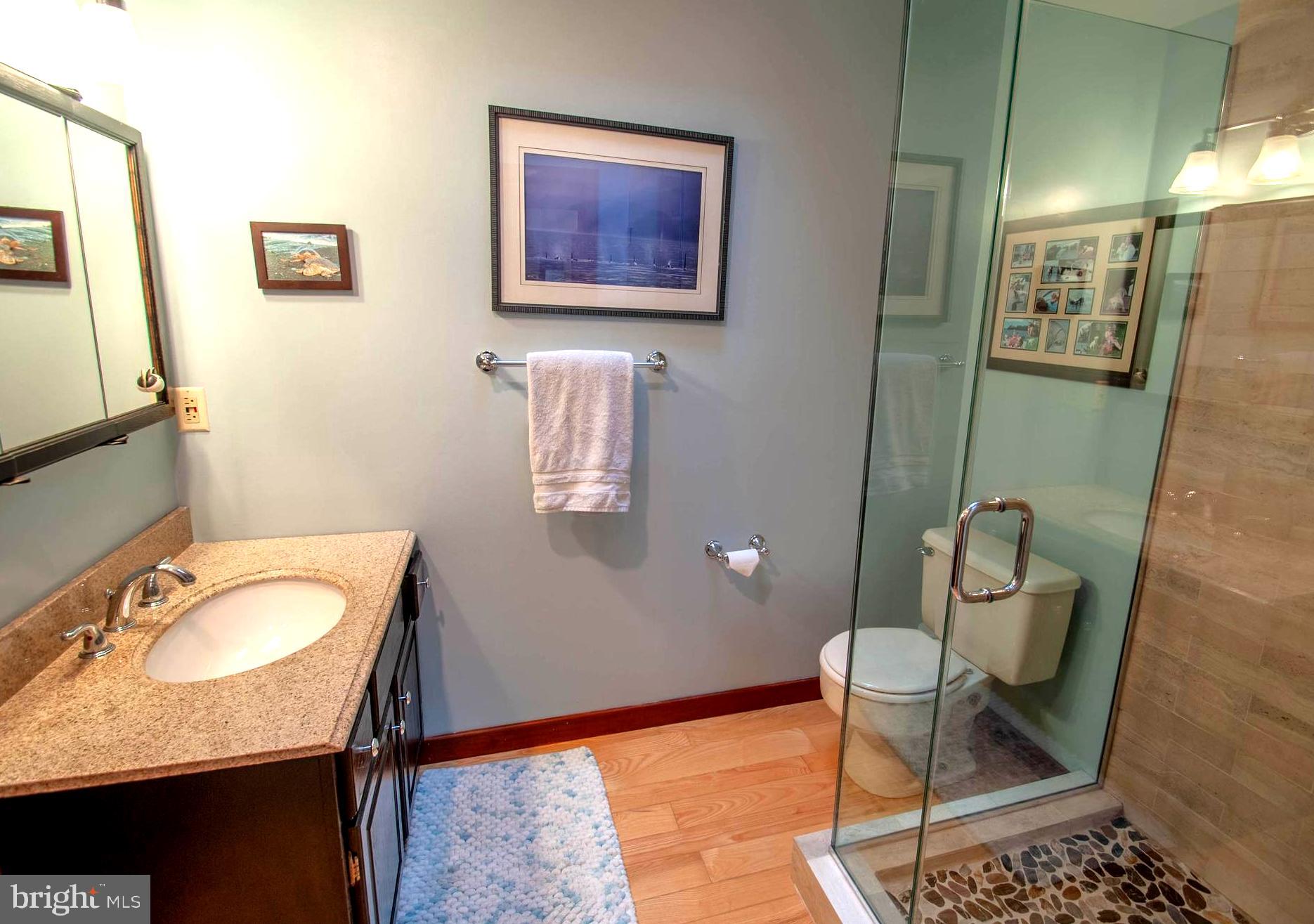 1749 Colbert Road Annapolis, MD 21409 - Photo 41 of 48 Full Bath w/Pebble Floor Shower . Granite Vanity
